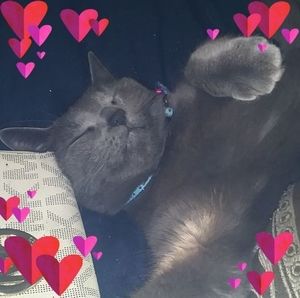 Meet your Posher, Robert